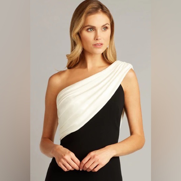 TADASHI SHOJI DRESS - Picture 3 of 6